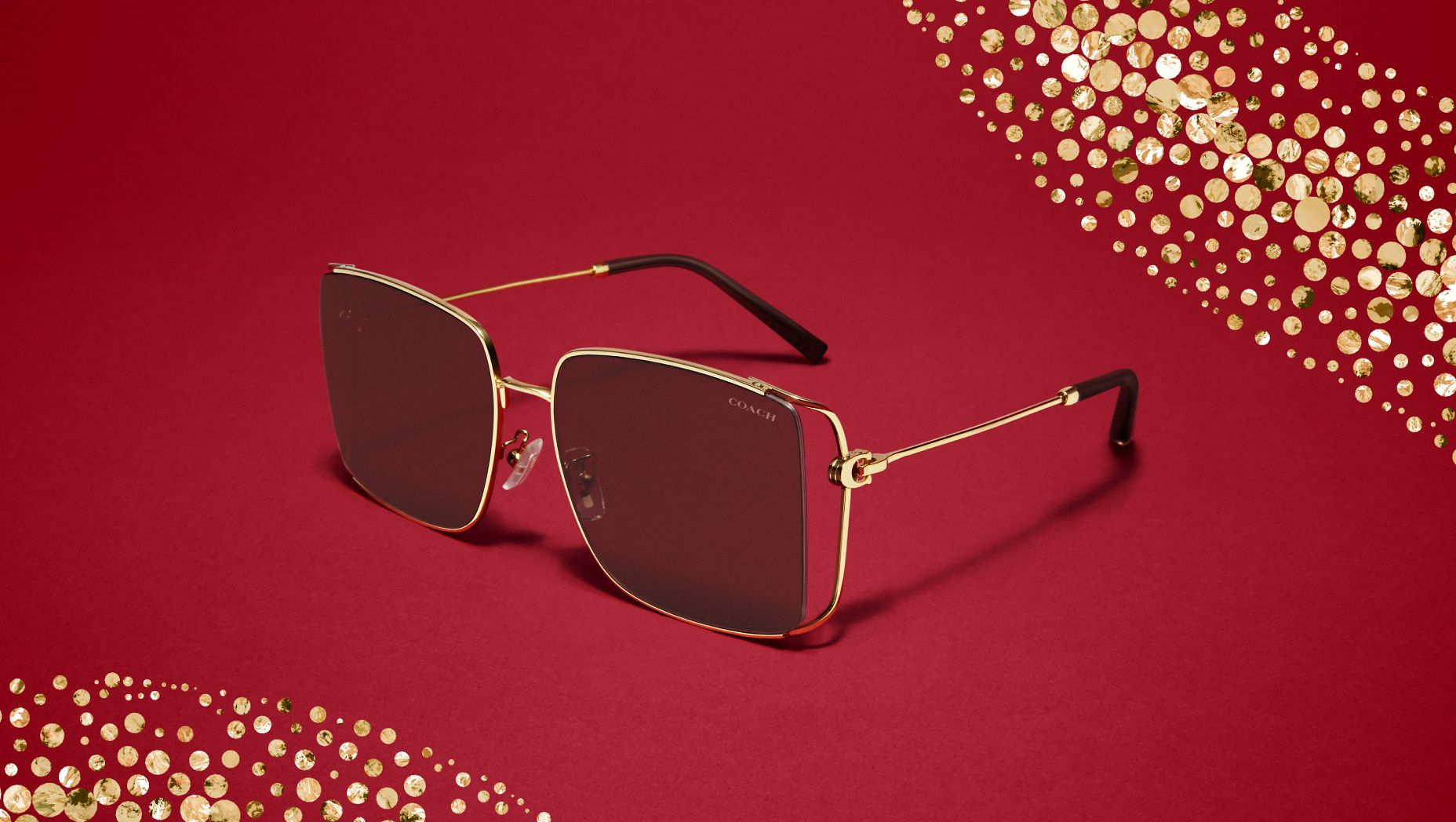 Coach HC7174D CW429 XL (59 - 17) with Violet lenses and Gold