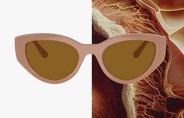 Bio-Nylon?-Bio-Nylon* ist ein Material, das teilweise aus pflanzlichen Ressourcen hergestellt wird, vorwiegend aus den Samen der Rizinuspflanze.